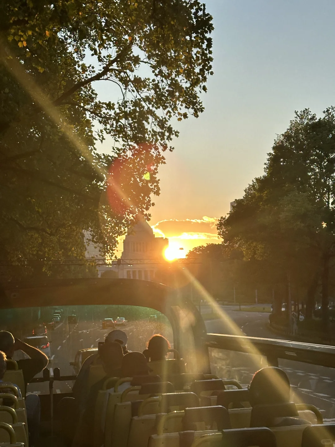 Riding the Tokyo Sunset Bus 🚌 Feeling So Blessed 😜 (Guide Included)