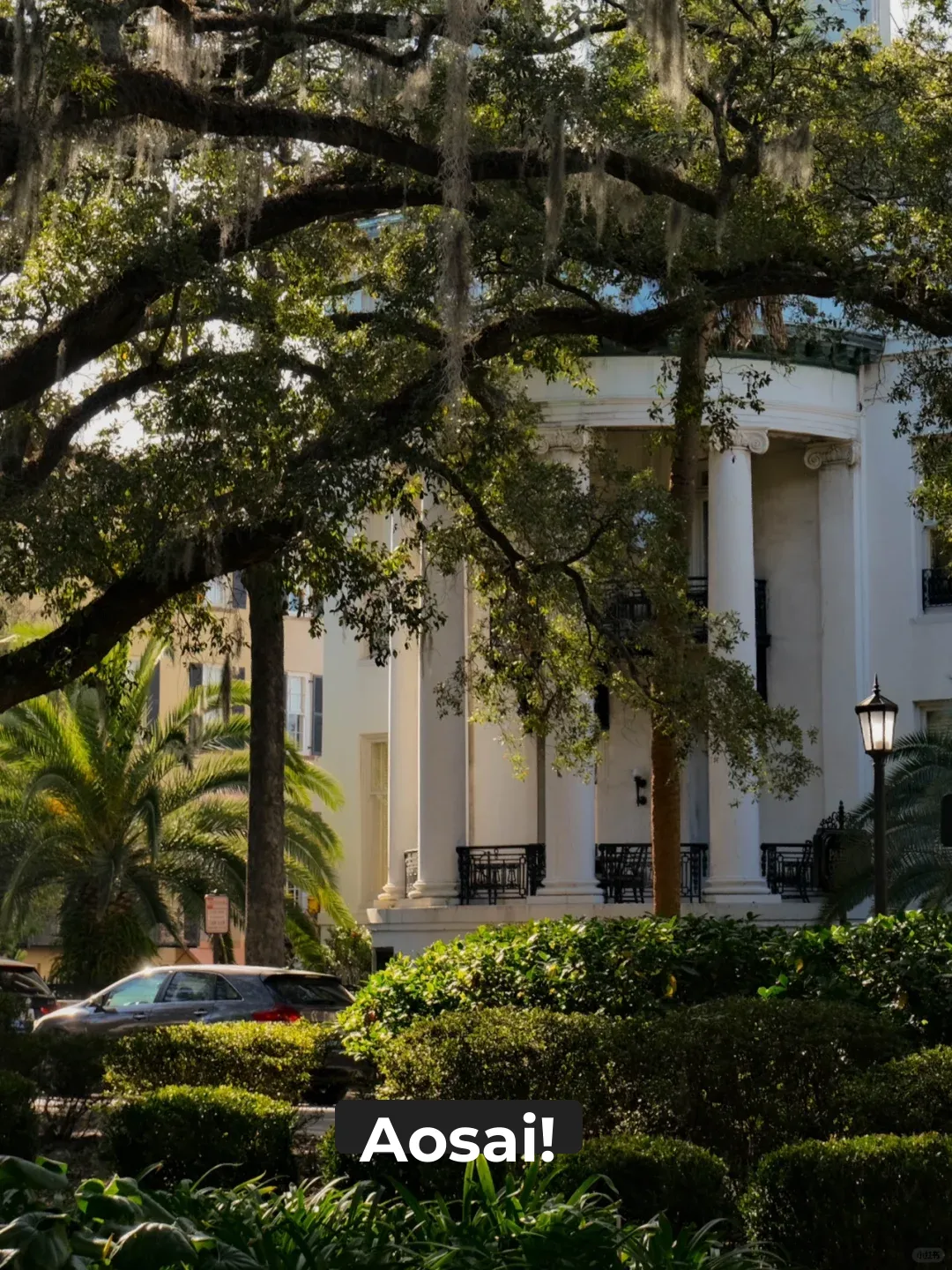 "Savannah Travel Diary 2⃣️: The Portions at Southern Restaurants in the U.S. Are Huge!"