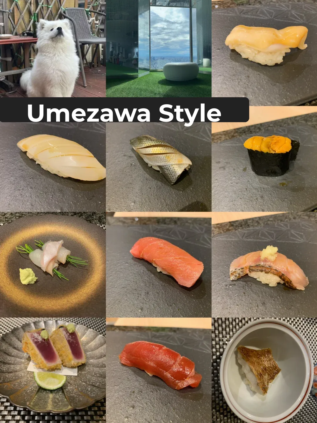 🇯🇵 Tokyo Seafood & Shibuya Sky: Tokyo Foodie Adventures Part 2