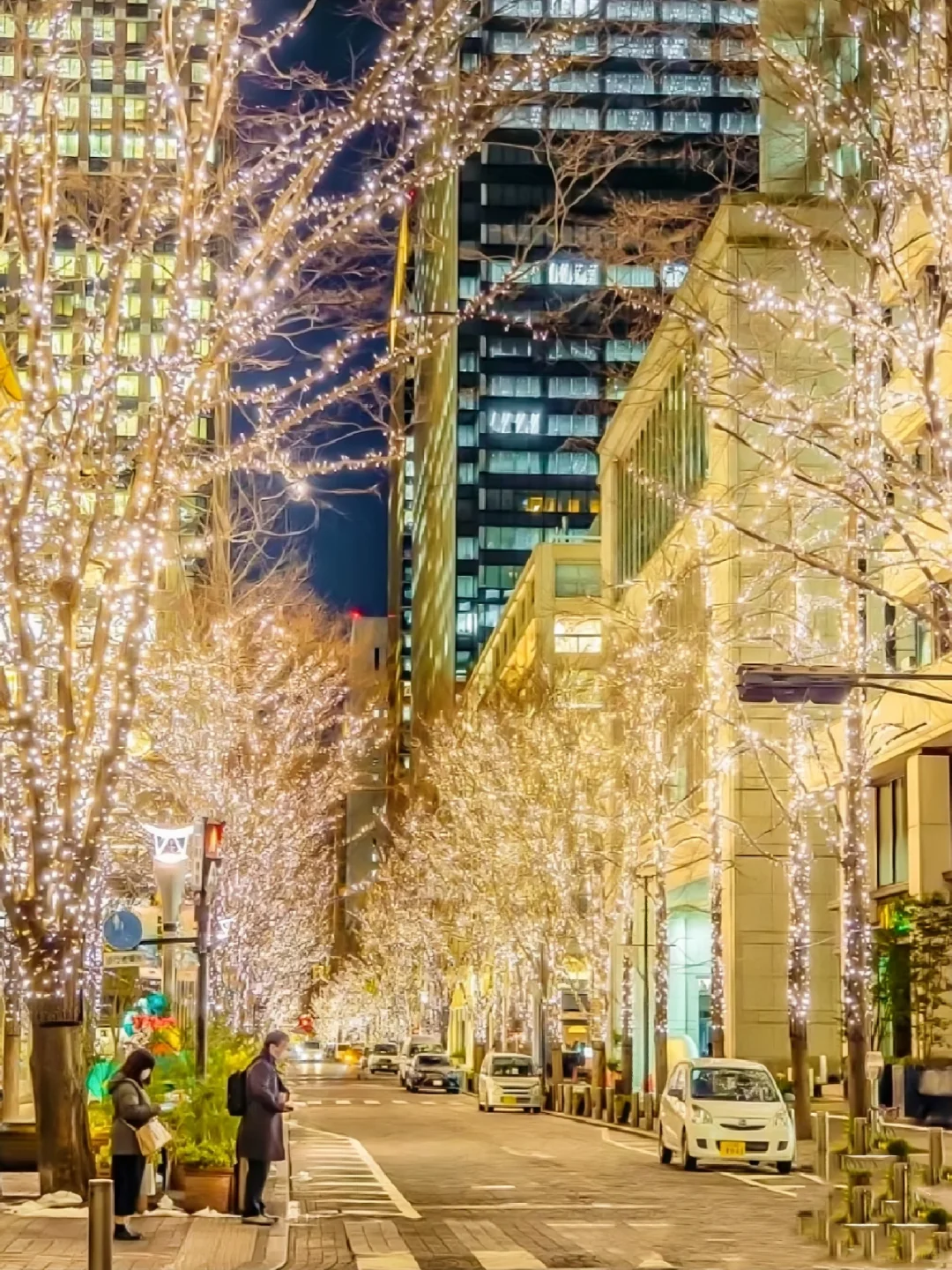 Tokyo, Japan | Christmas 🎄 Carnival: 8 Must-See Light-Up Ceremonies