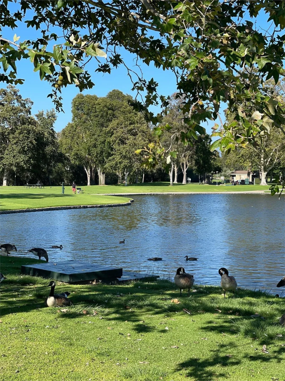 Los Angeles! Free of Charge!! Park Oxygen Bar is So Chill!