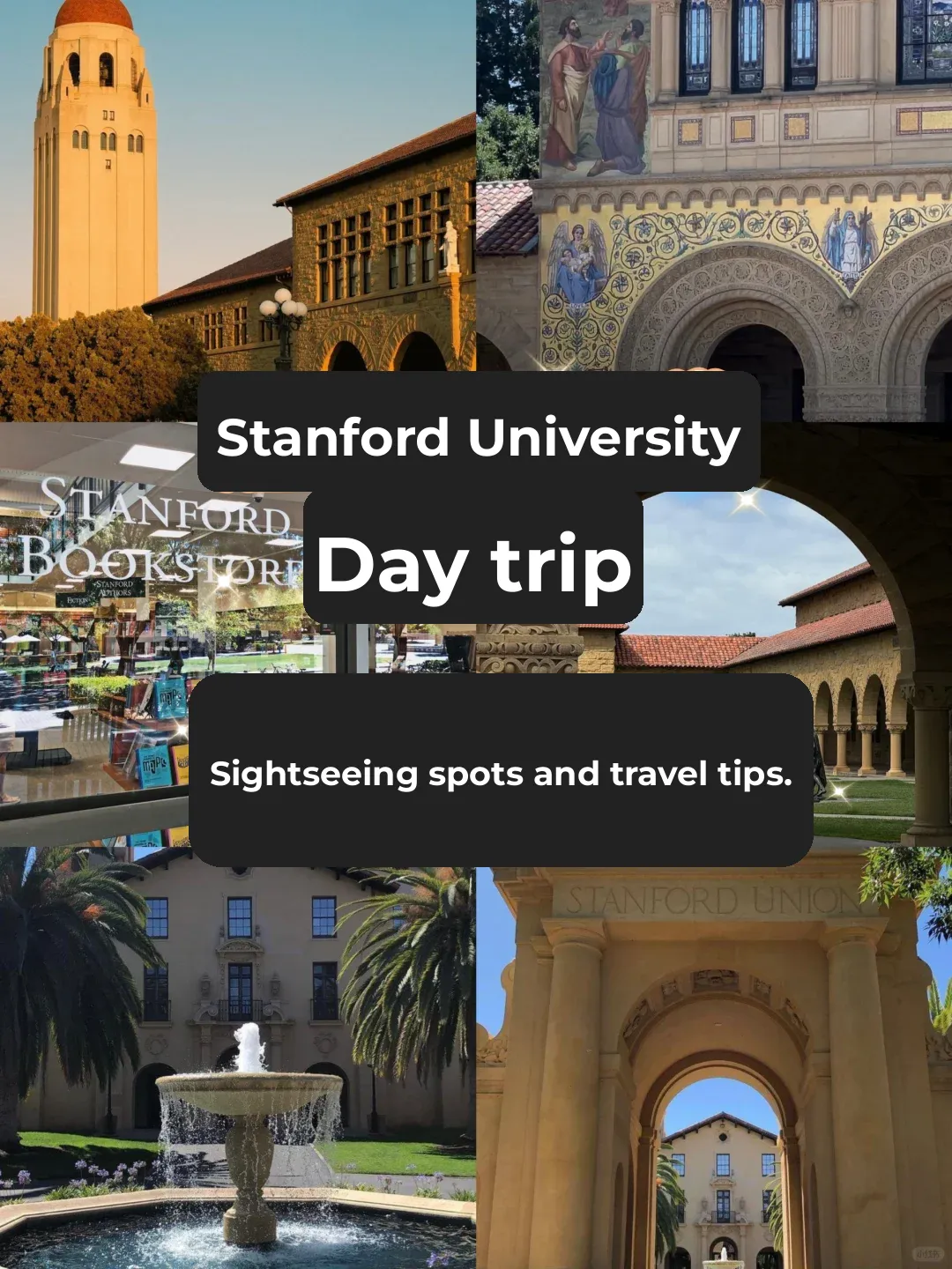 A Day Trip to Explore and Snap at Stanford University Near San Francisco ✨