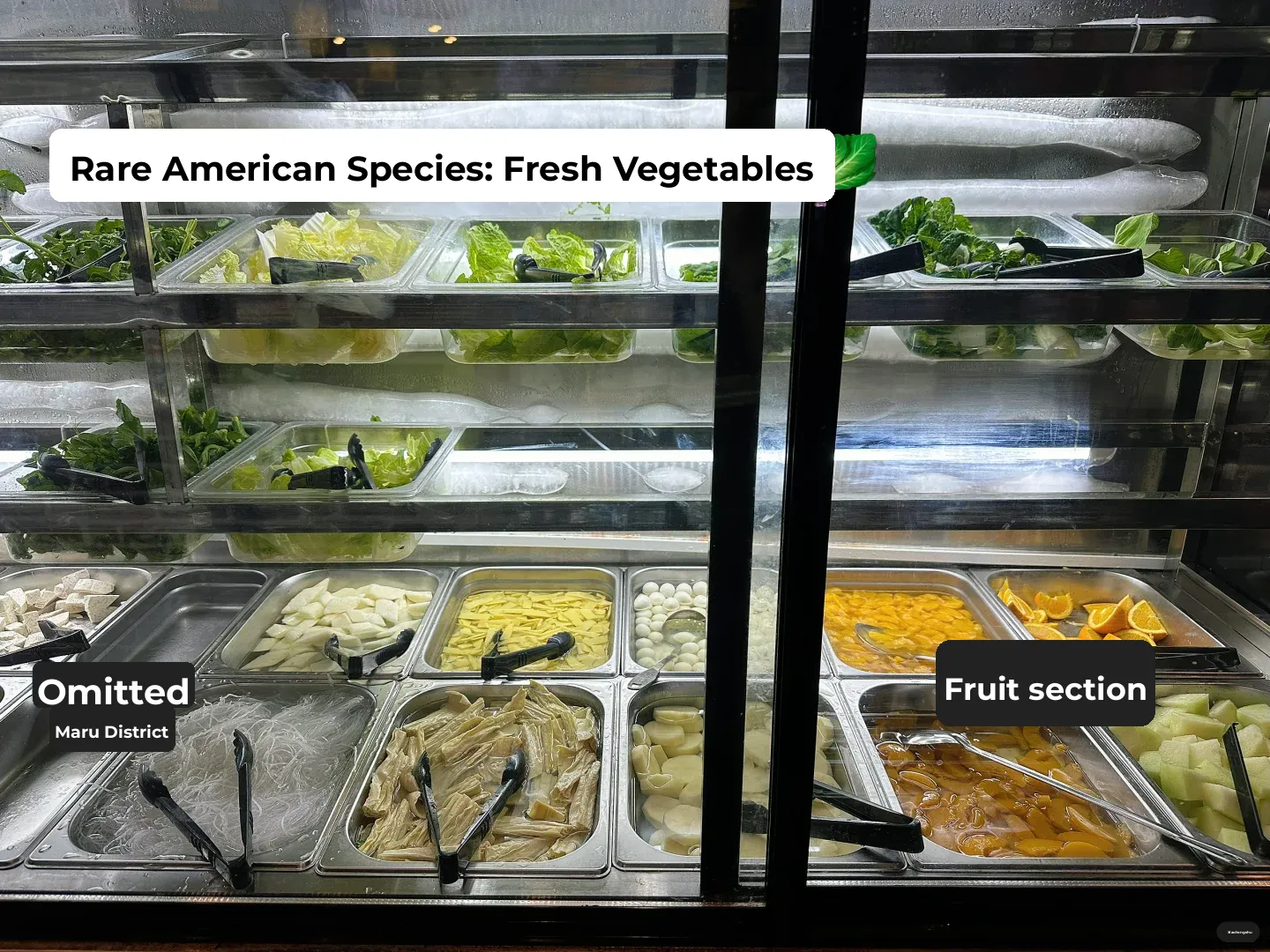 Orlando's Delicious Sichuan-Chongqing Hot Pot 🍲 Followed by a Stroll at the Supermarket!