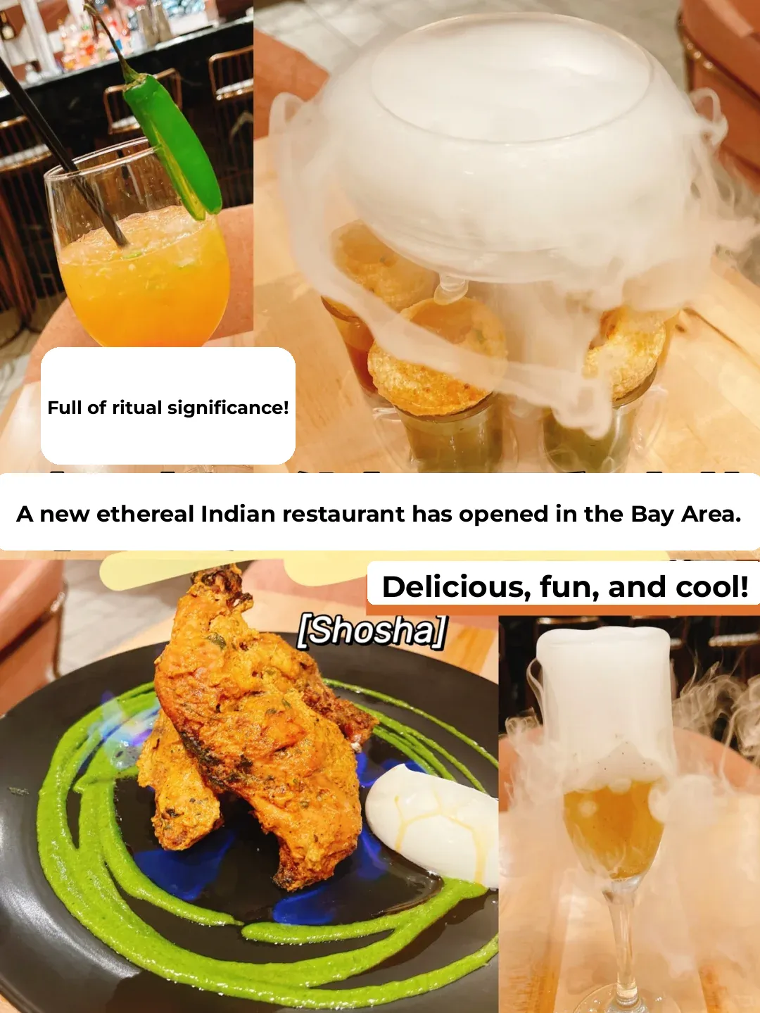 Bay Area Newcomer | Enchanting Indian Cuisine ✨ Delicious, Fun, and Cool