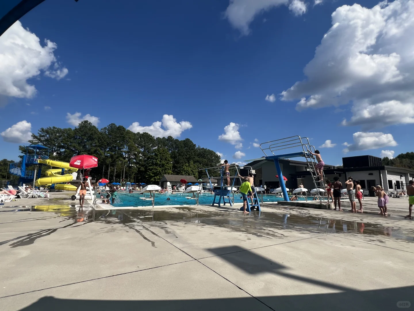 Summer Fun with Kids in Atlanta: Wills Park Pool