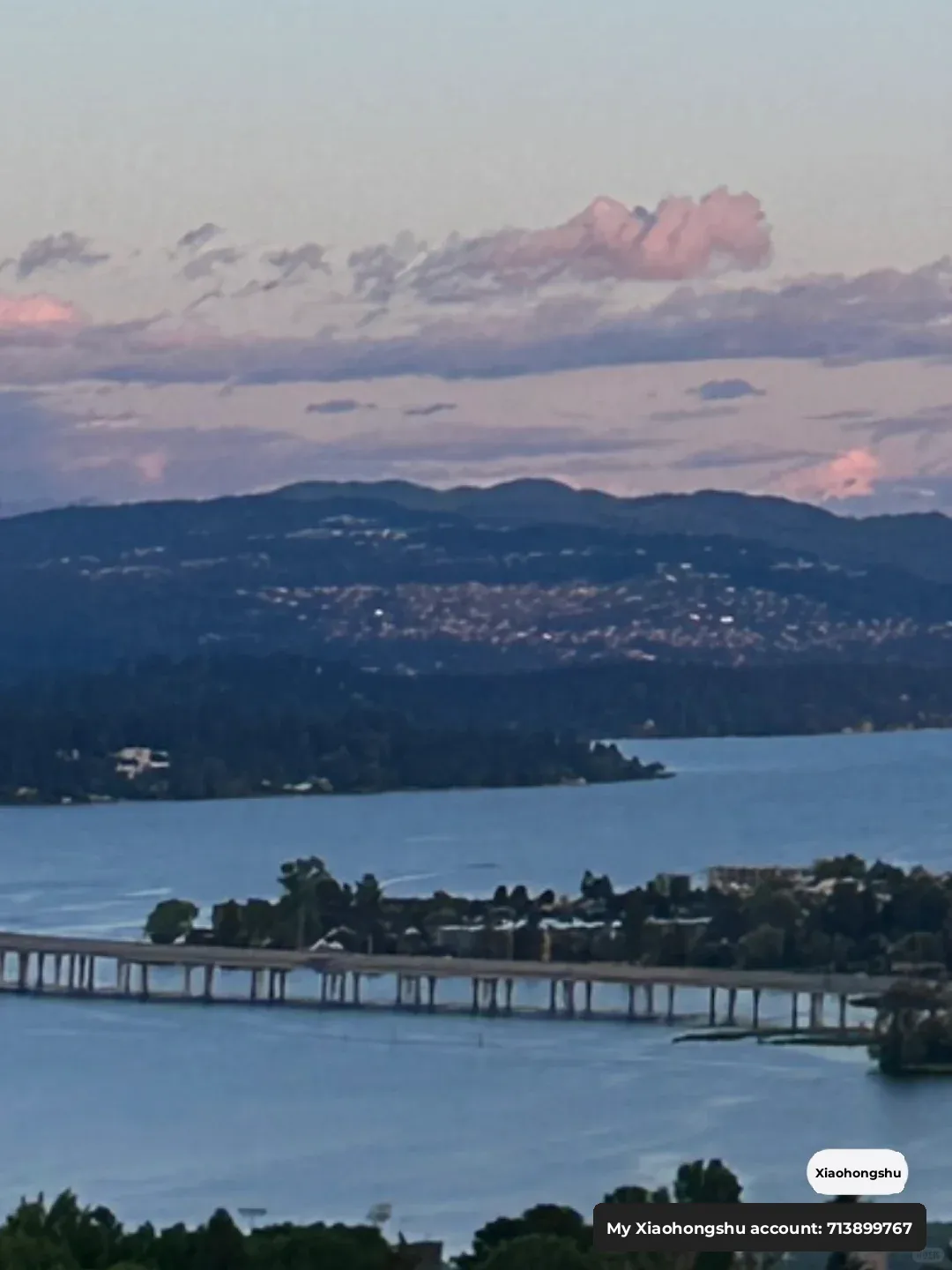 A Seattle Girl's Quirky Dating Diary - Part 1