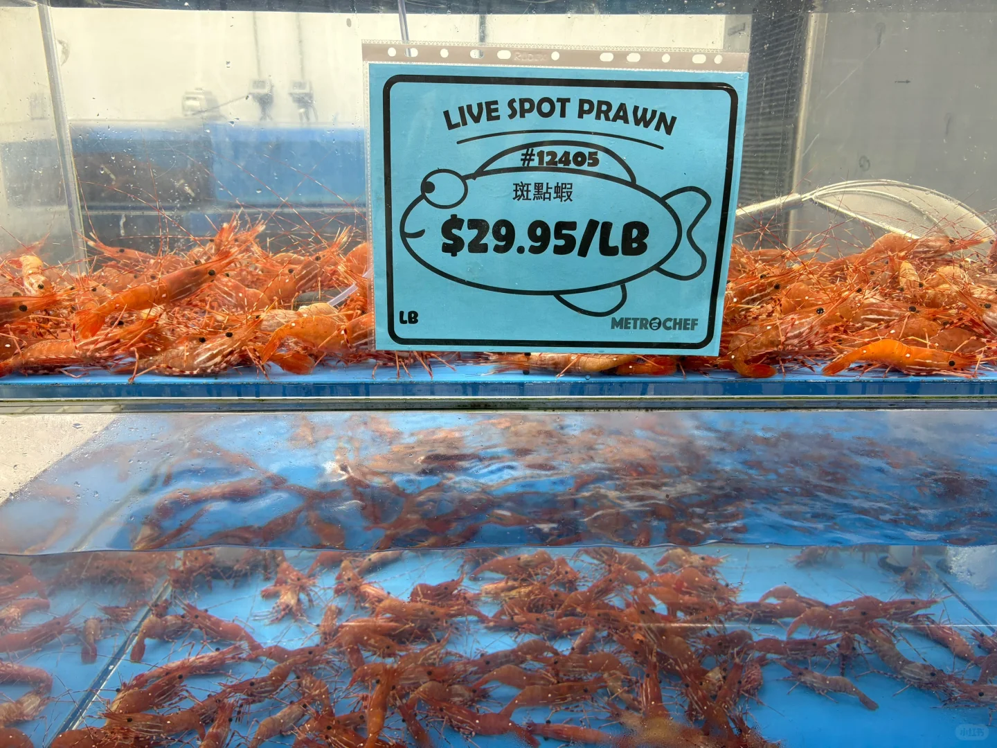 Atlanta Metro Chef: Premium Live Prawns 🦐