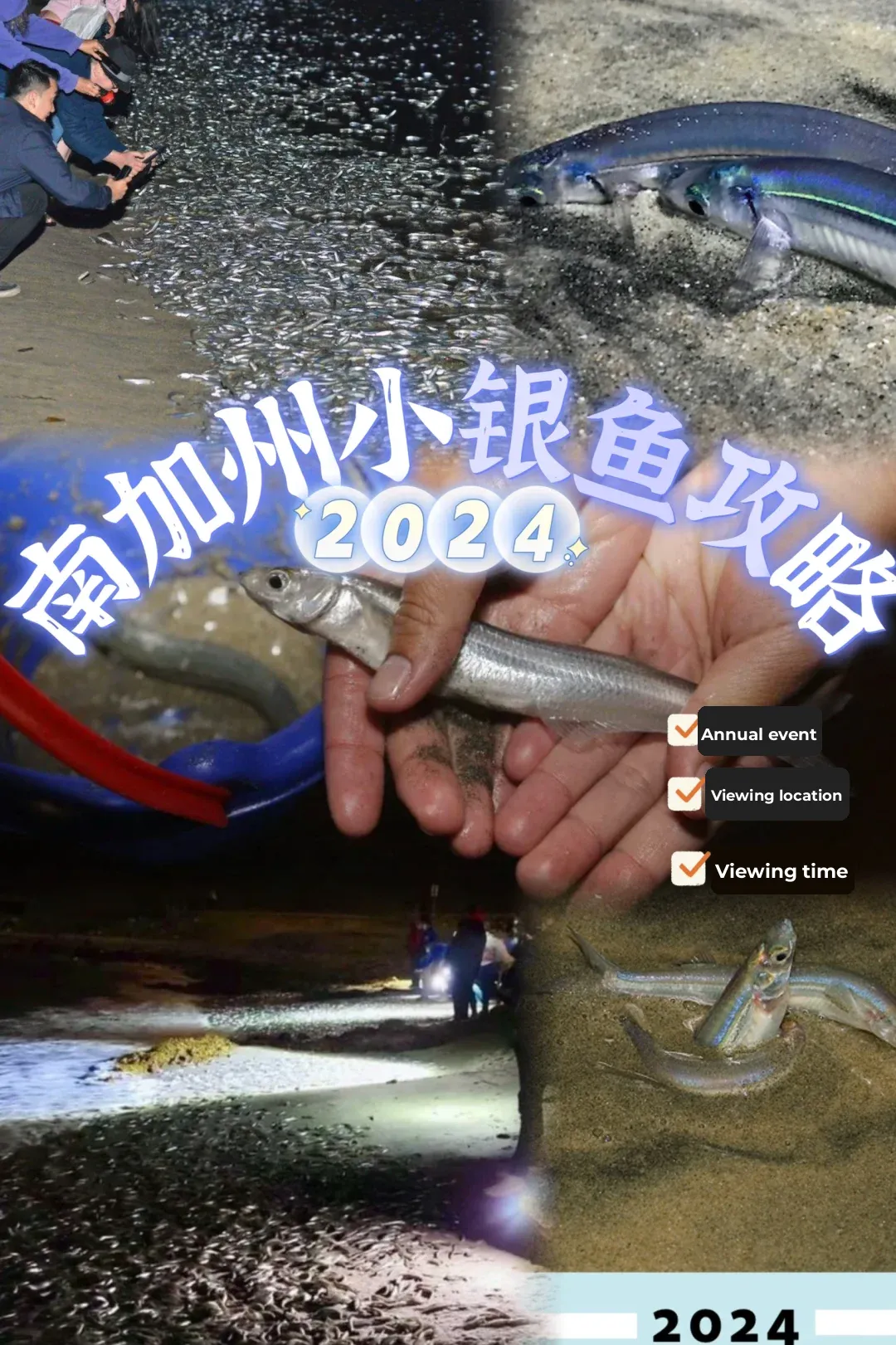 The 2024 Southern California Grunion Guide Is Back❗️Don’t Miss Out This Year