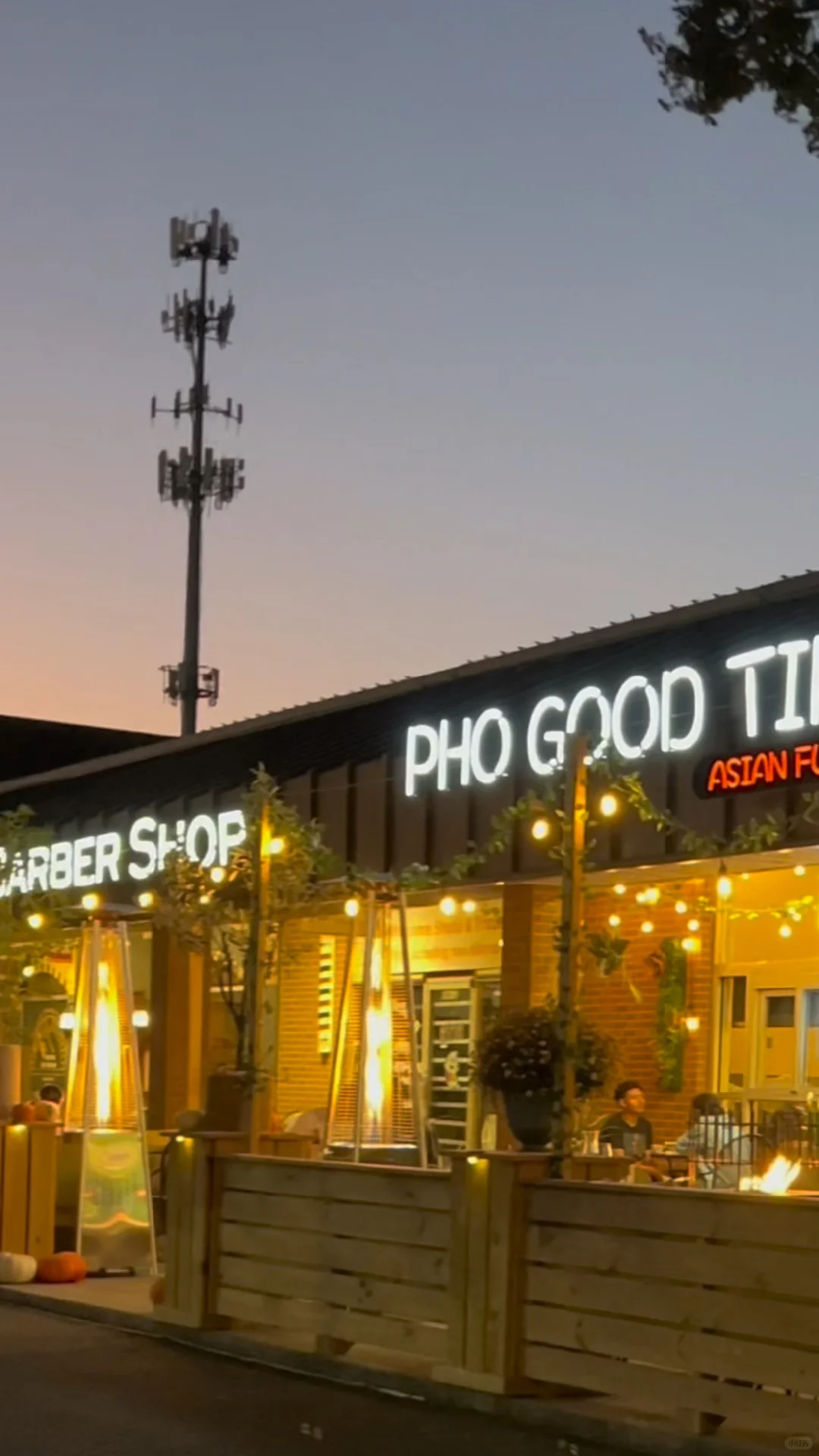 🥟 Experience Our Colorful and Delicious Dumplings