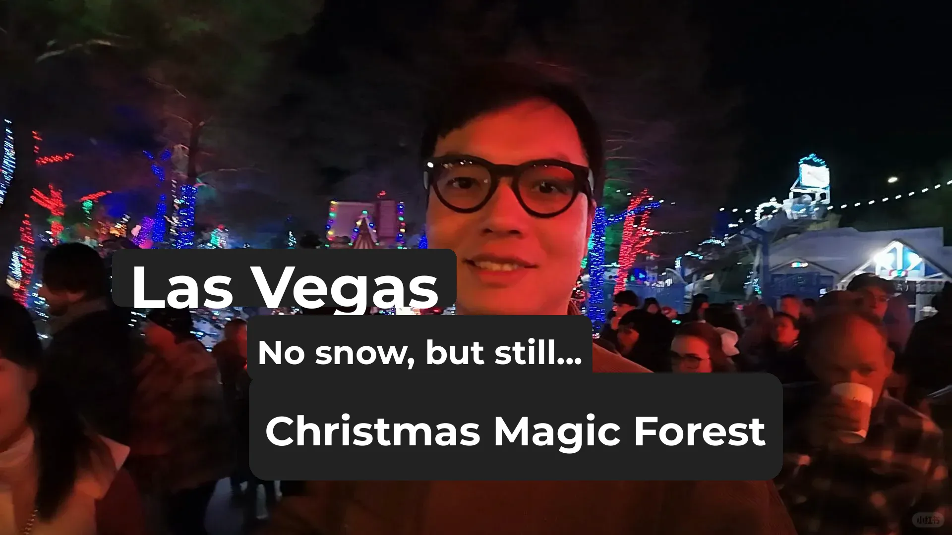 The Christmas Magic Forest of Las Vegas