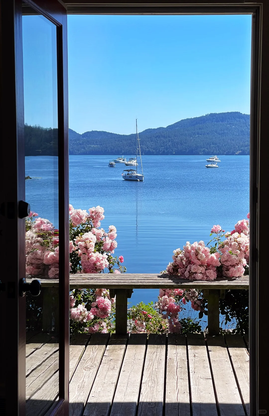 Seattle Area | Orcas Island: A Blissful Day Trip 🌴