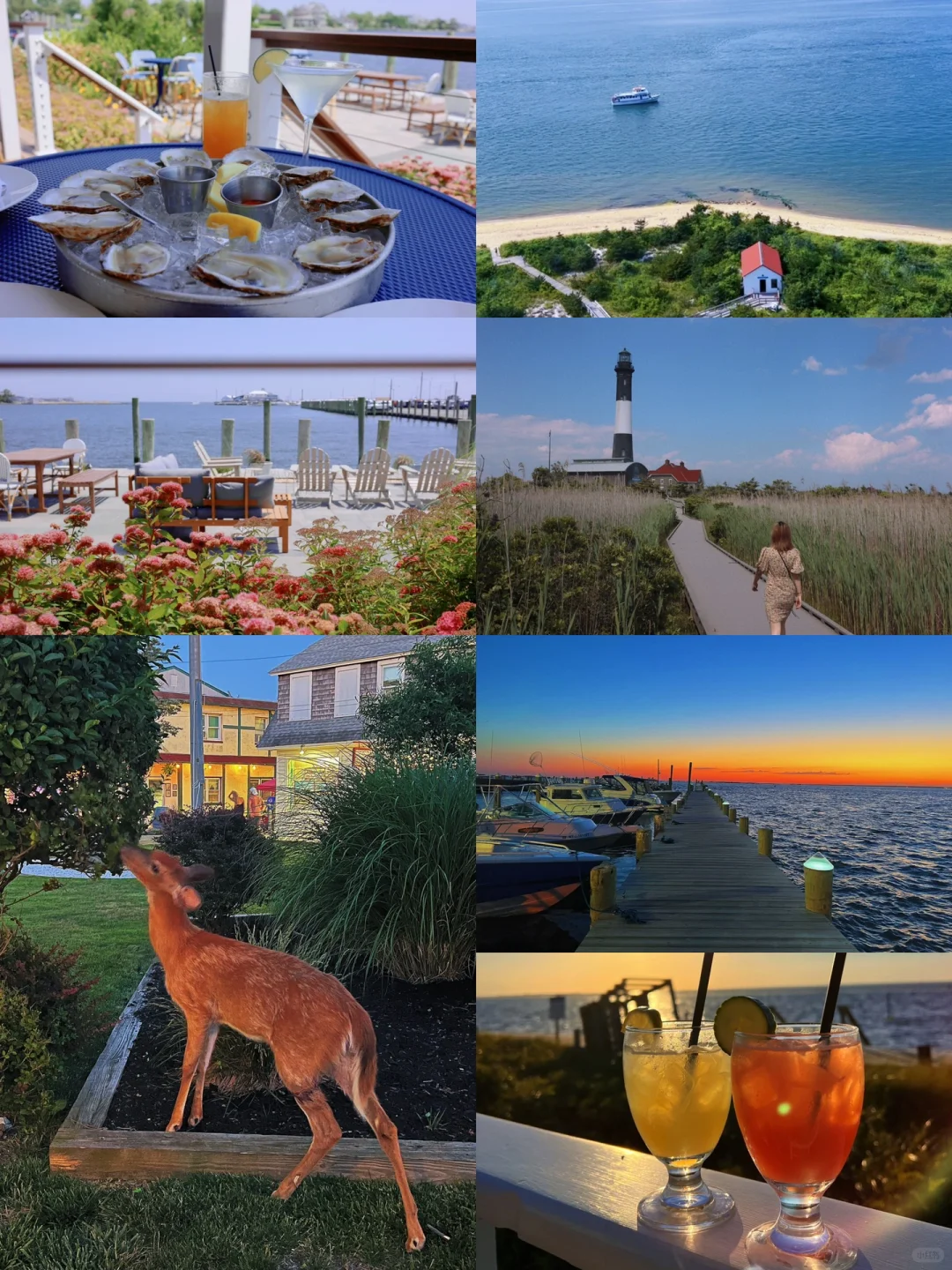 NYC Getaway 🌸 Springtime Adventures: Feeding Deer, Chasing Lighthouses, and Watching Sunsets