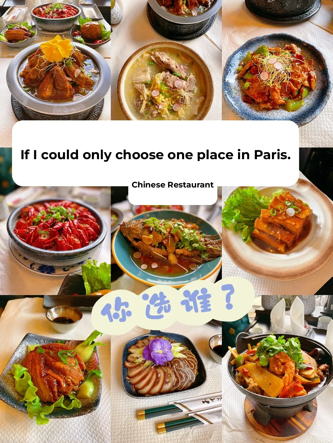 Hidden Gem Chinese Restaurant in Paris by the Seine: Serving 5 Major Cuisines 🐟
