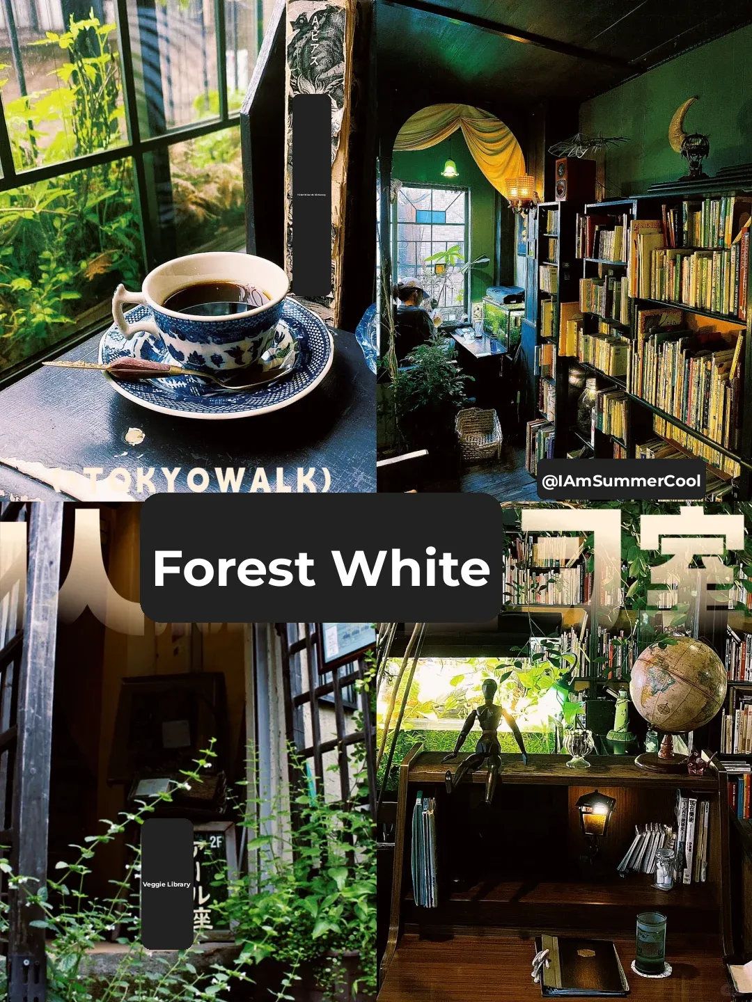 Tokyo Koenji 🌳 i-Person Paradise: Cozy Forest-Themed Solo Study Nook