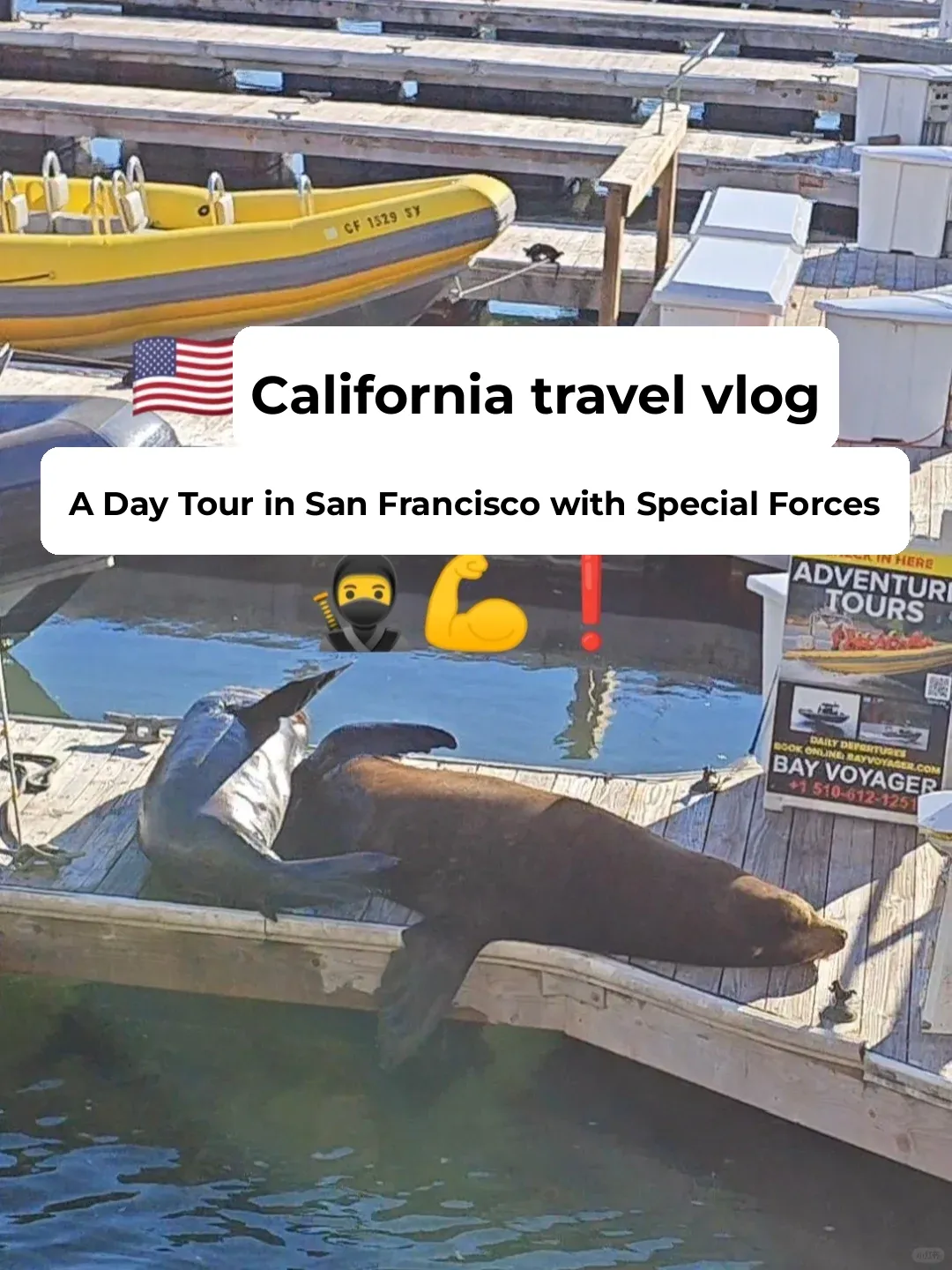 🇺🇸 San Francisco Vlog 🥷 Special Ops One-Day Tour Guide ❗
