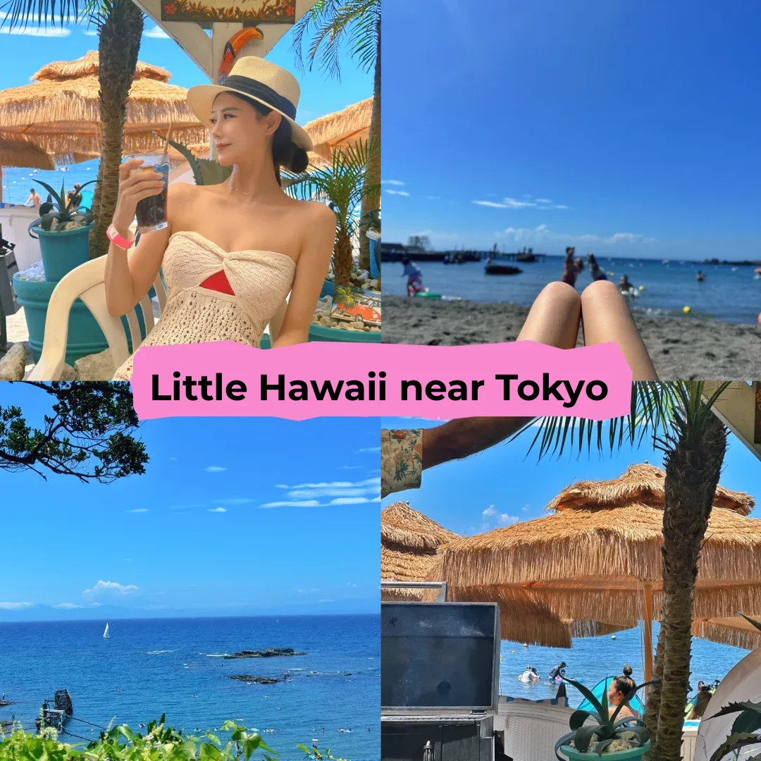 Tokyo Vicinity | Mini Hawaii