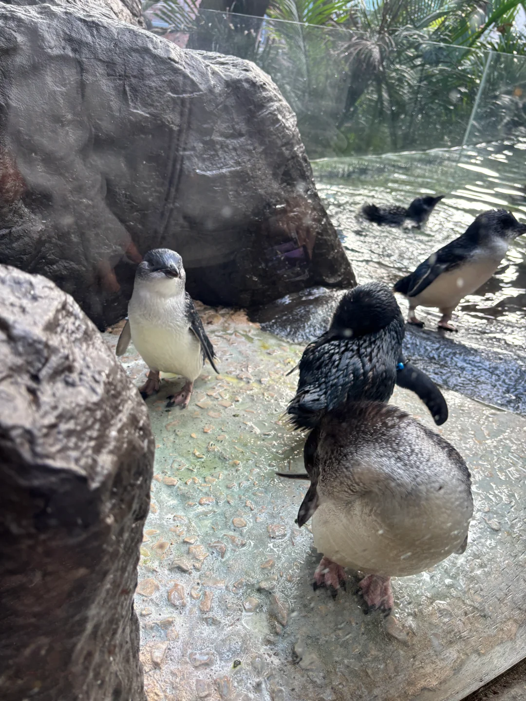 2-Day Dallas Travel Guide