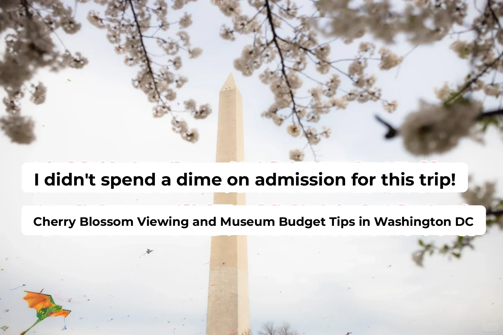 3-Day Mini Getaway in Washington | Free Museums, Zoos & Cherry Blossoms 🌸