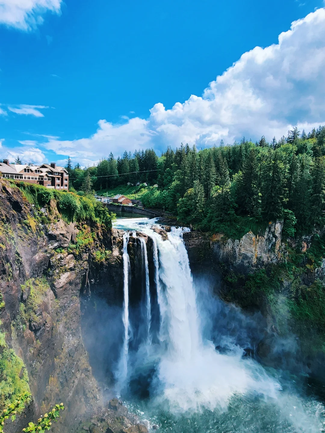 Seattle's Snoqualmie Falls & Alpaca Farm Adventure
