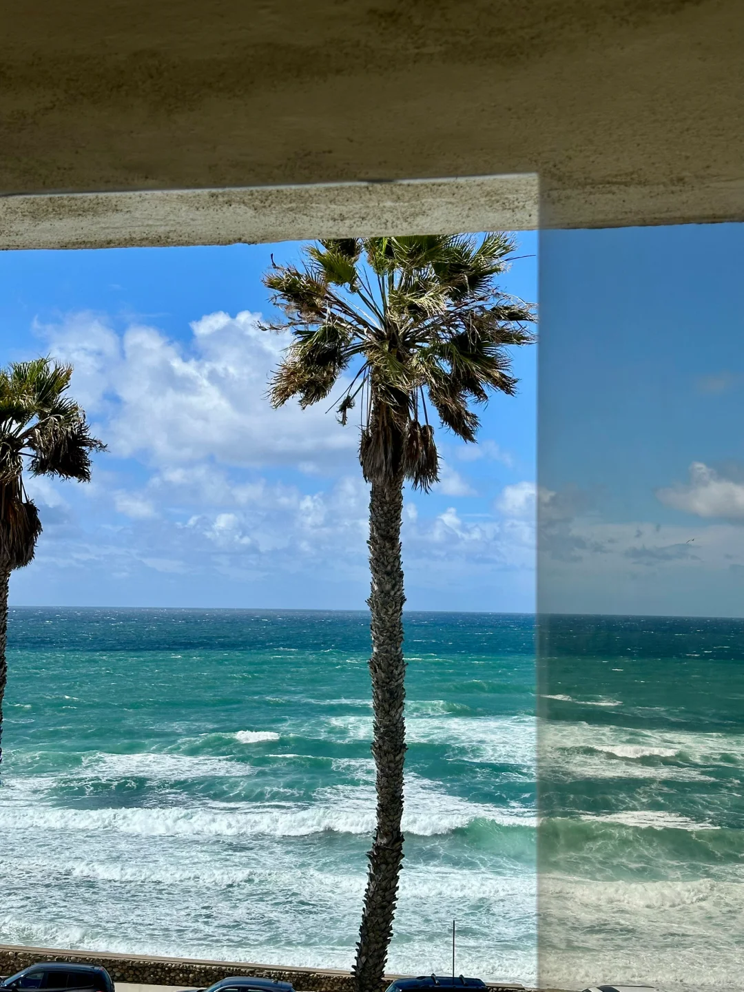 San Diego｜A Spring Weekend Breeze by La Jolla's Seaside