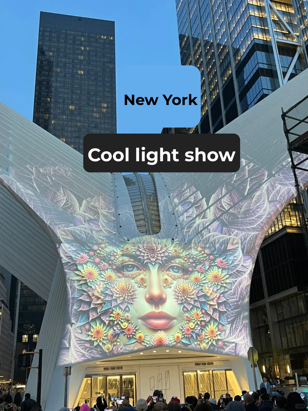 Free Light Show in NYC | Urban Flourish
