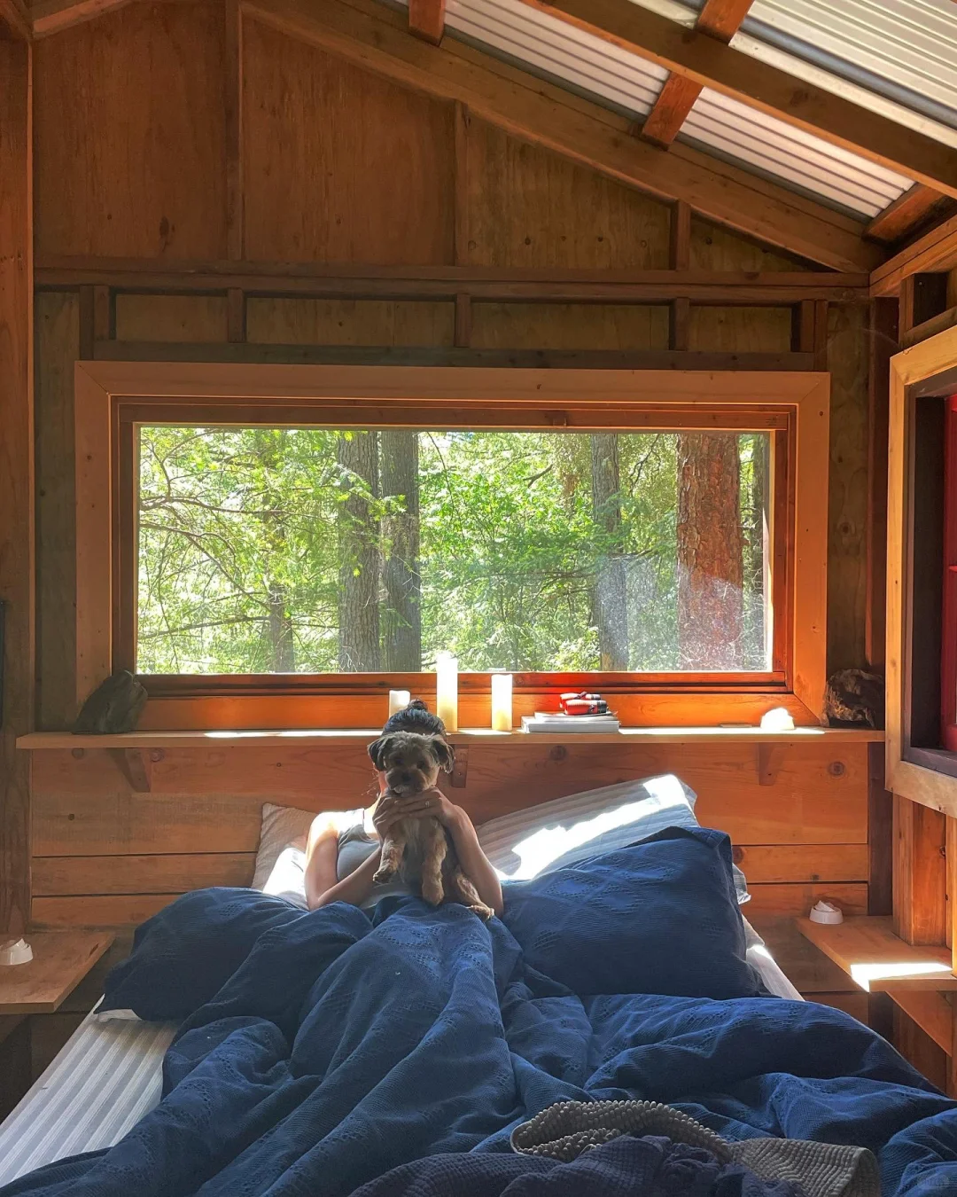 Bay Area Getaways | Cozy Creekside Treehouse | Glamorous Camping | Picnic in the Wild