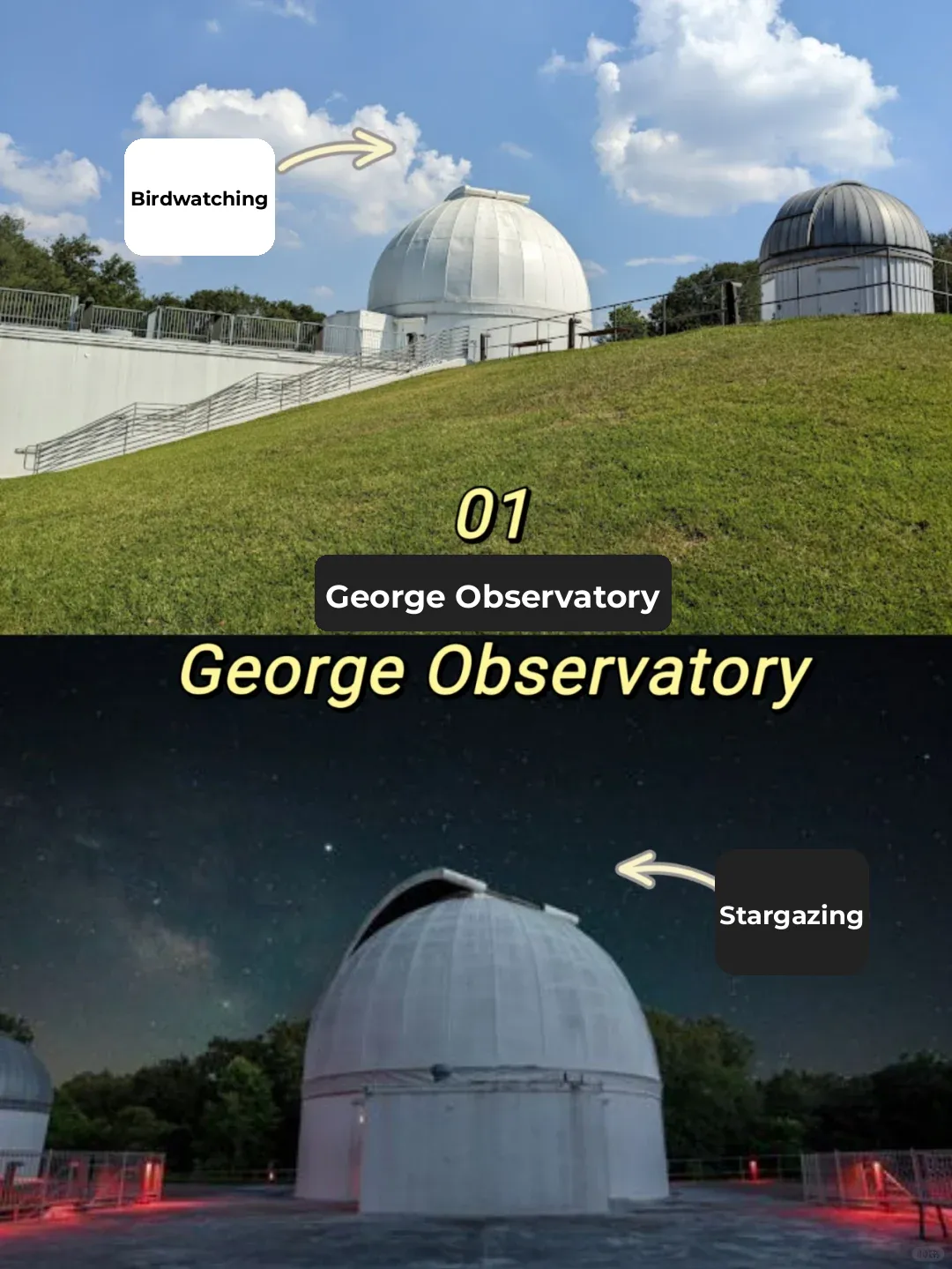 "Spring Break Getaway Alert! Fun and Relaxing Short Trip Routes Are Here~"