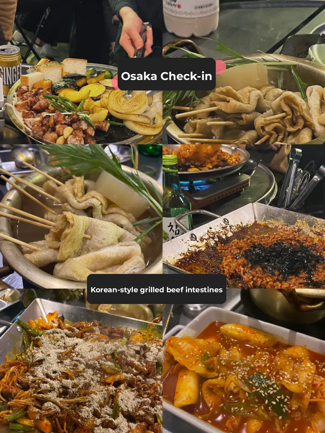 Osaka Check-In | Super Atmospheric Korean Grilled Beef Intestines