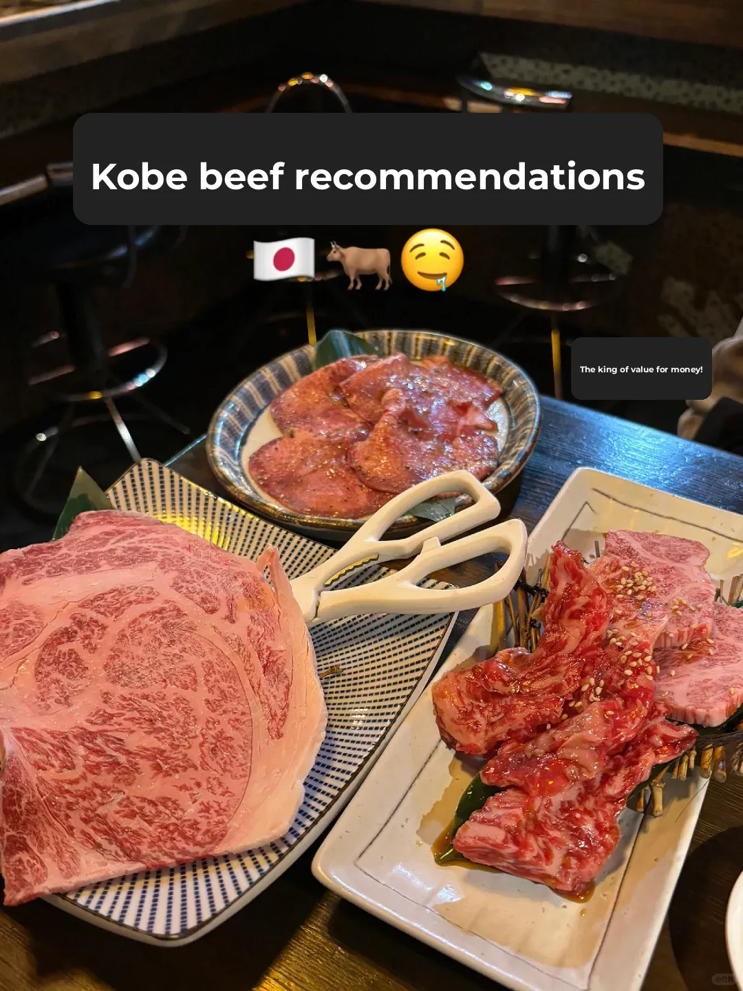 🇯🇵 Achieving Wagyu Freedom in Kobe!!!
