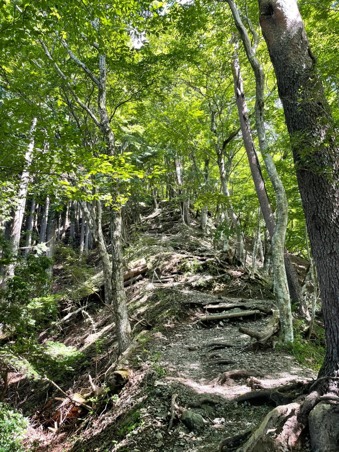 Day Trip Hiking Near Tokyo: Mount Noguri & Mount Takadake