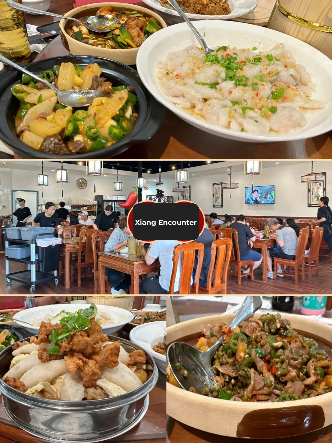 "Dallas Eats: Xiang Yu, Feeling the Pinch on My Wallet 🥲"