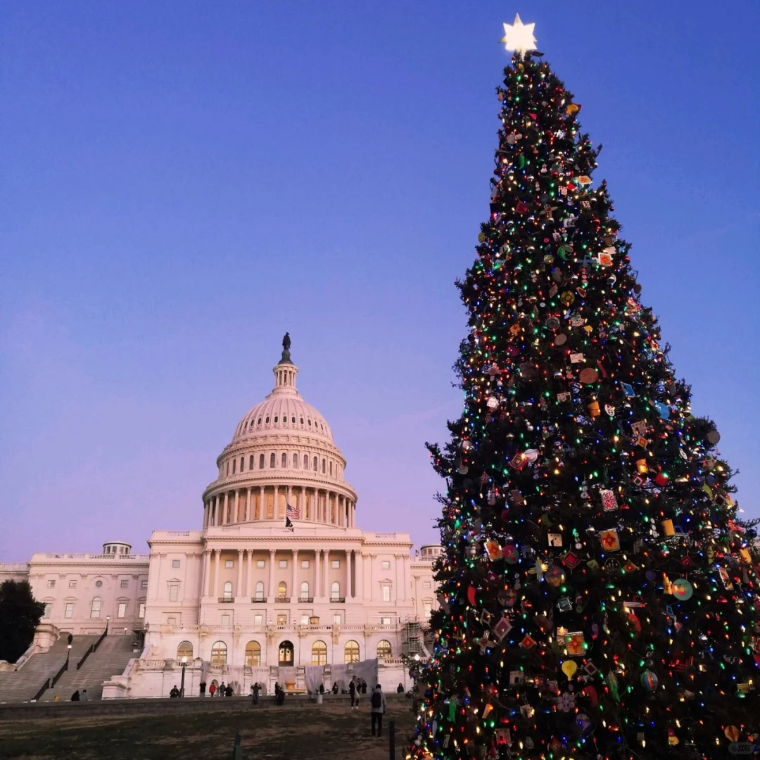 A Relaxing Day Exploring Washington, D.C. on the Weekend