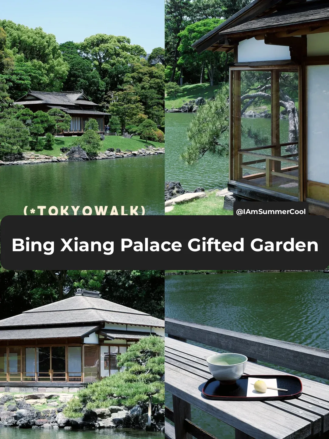 Sipping Matcha at the Coastal Edo Imperial Garden in Tokyo's Shinbashi 🍵