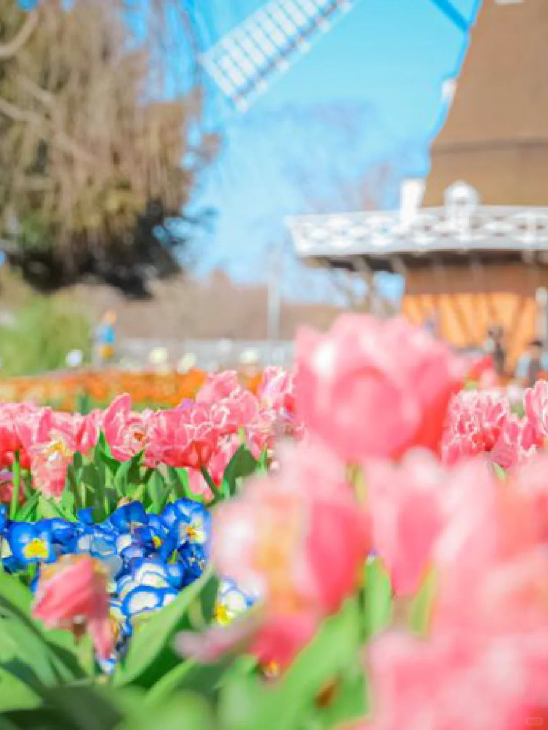 Top 8 Day-Trip Garden Spots in Tokyo 🌹