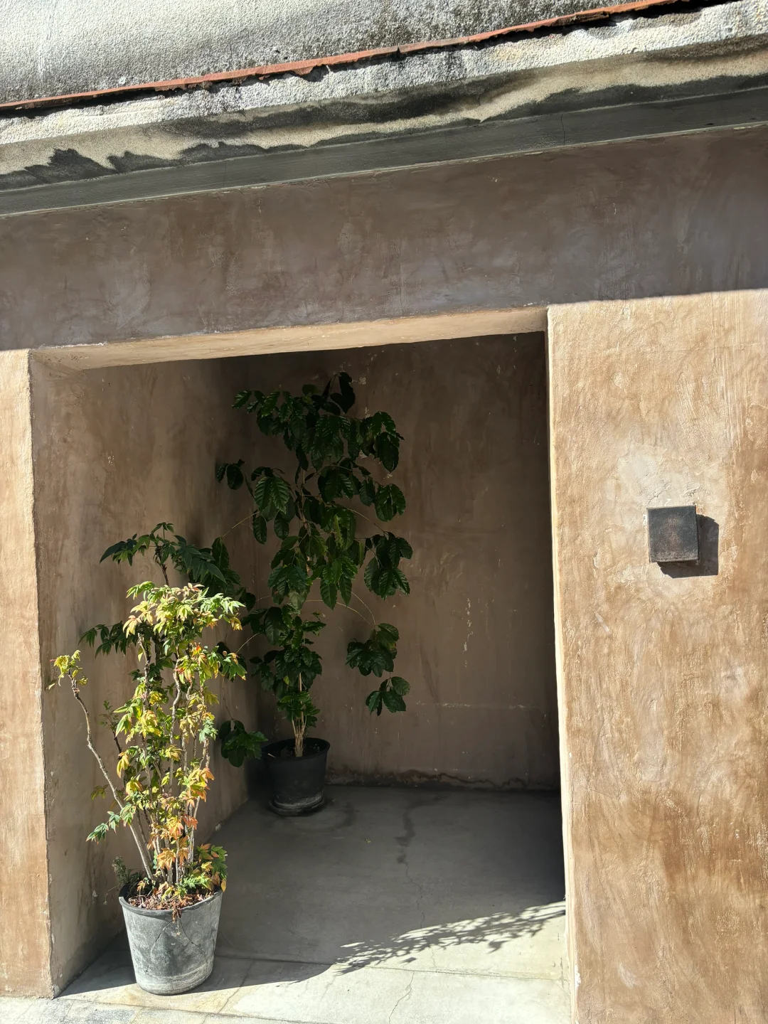 Unlocking Tokyo's No-Wood Café