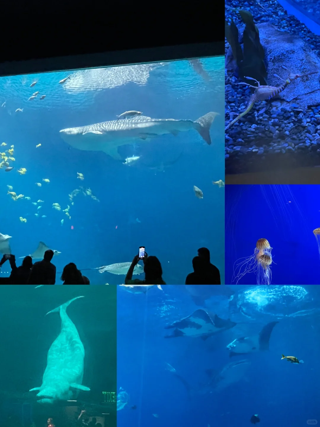 Atlanta📍 Seriously So Much Fun!