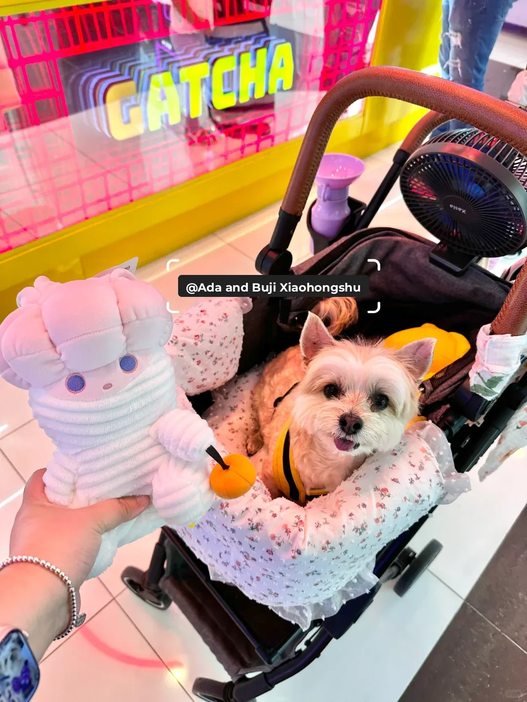 New Claw Machine Store at Florida Mall + Ramen in Oviedo