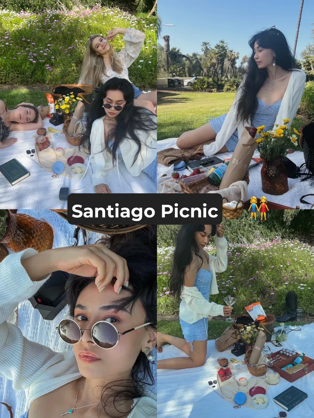 【Moment】San Diego Picnic | Picnic Outfit Ideas | Picnic Photography 📷