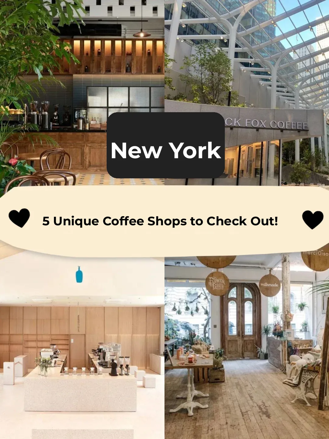 New York / Found the Café of My Life ☕️