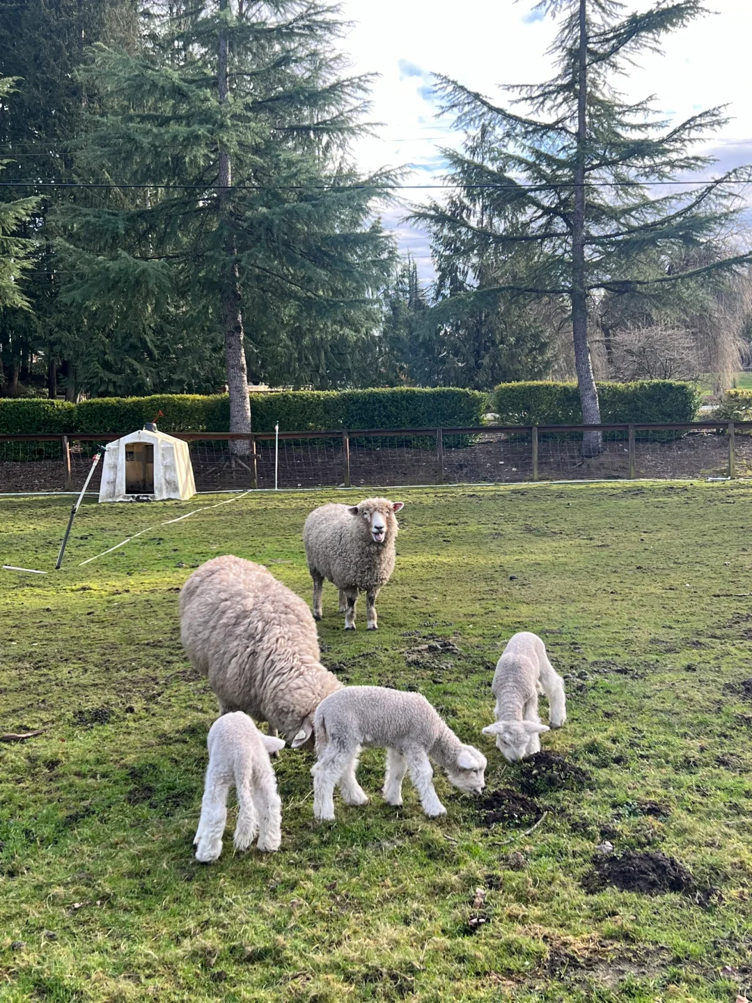 Snohomish Town | Seattle Weekend Getaway