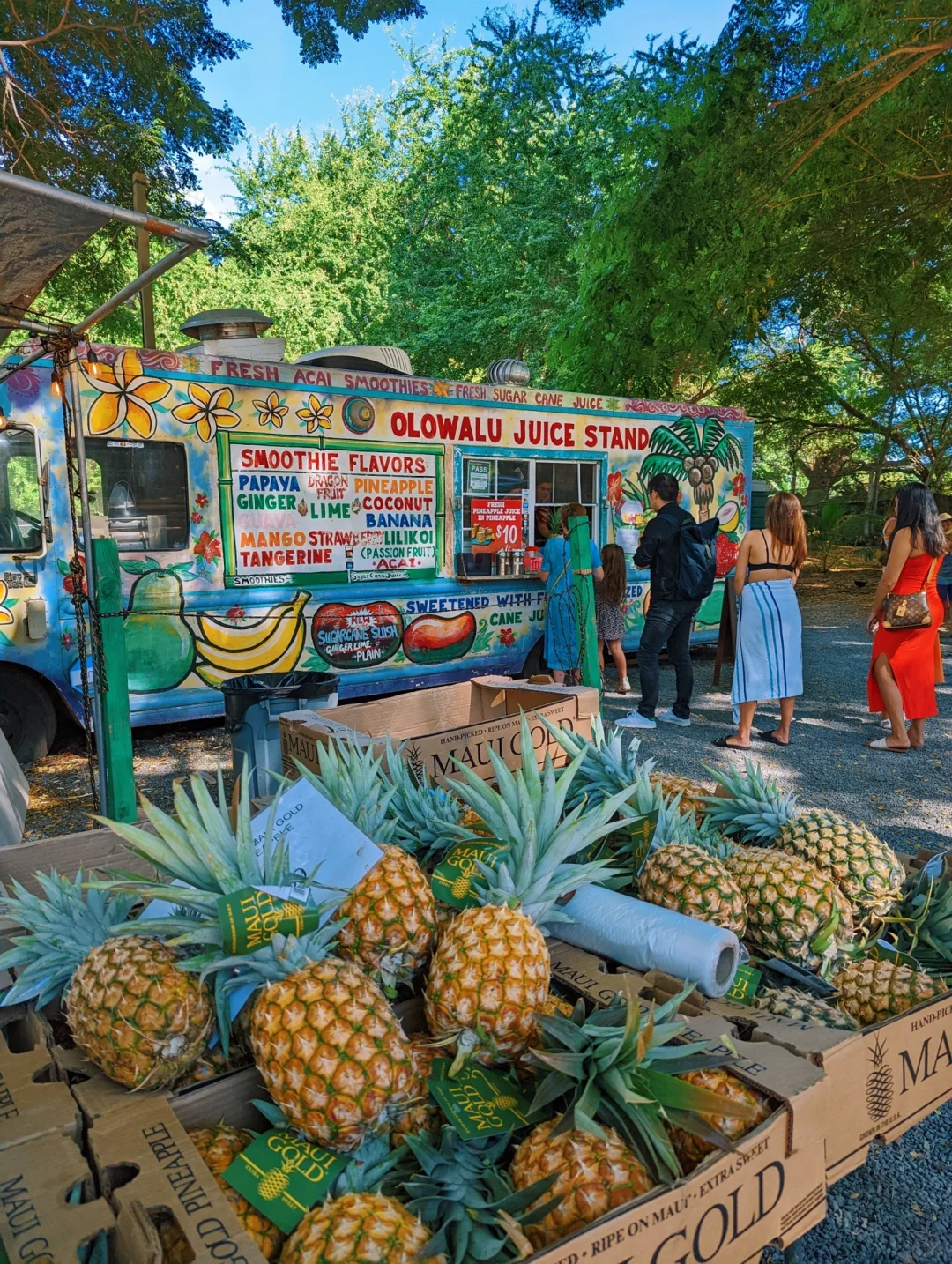 Hawaiian Delights 🍍 Don't Miss Maui's Roadside Fruit Stands 🥥