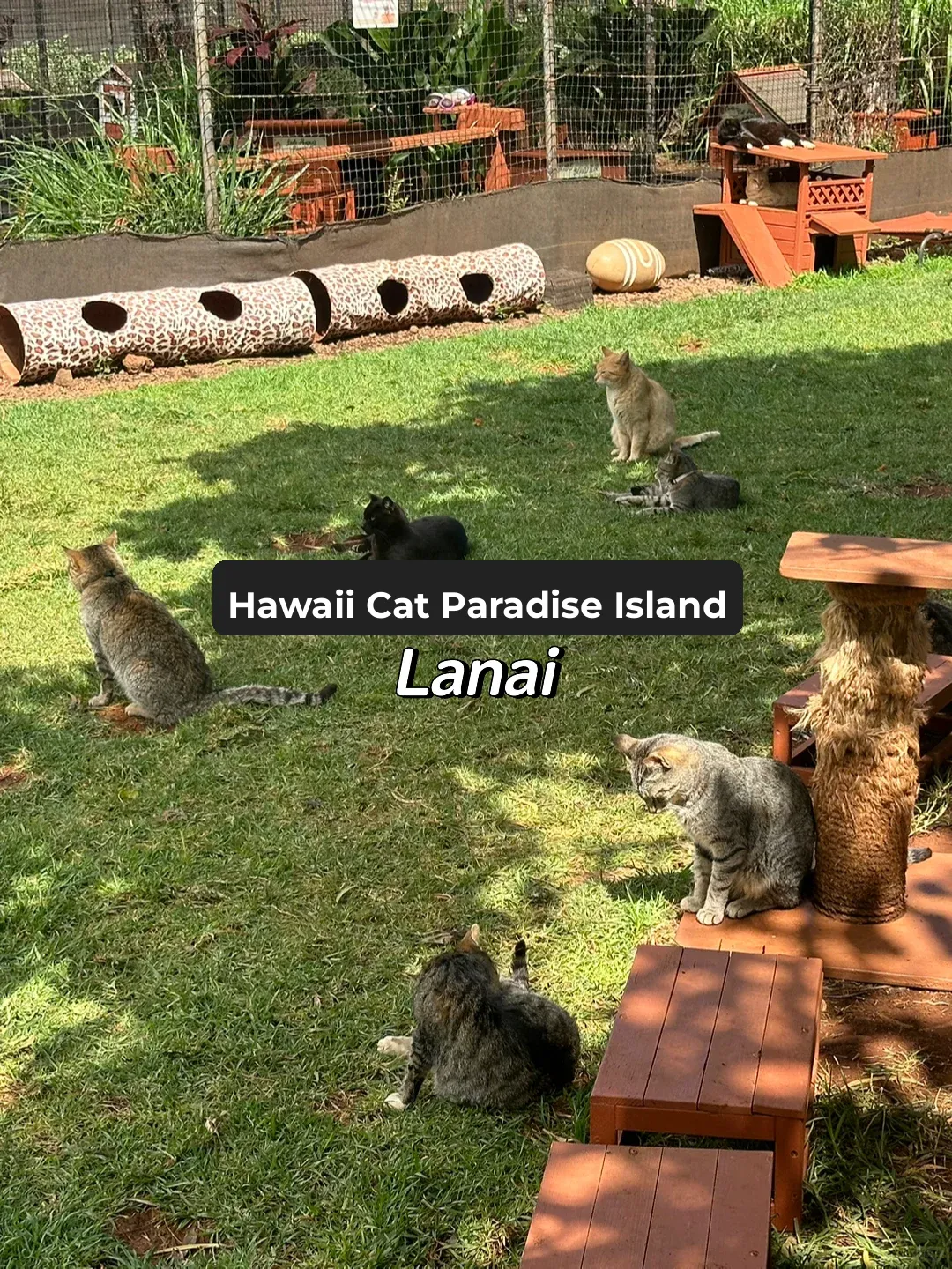 Did You Know? There's an Island Like This in Hawaii!