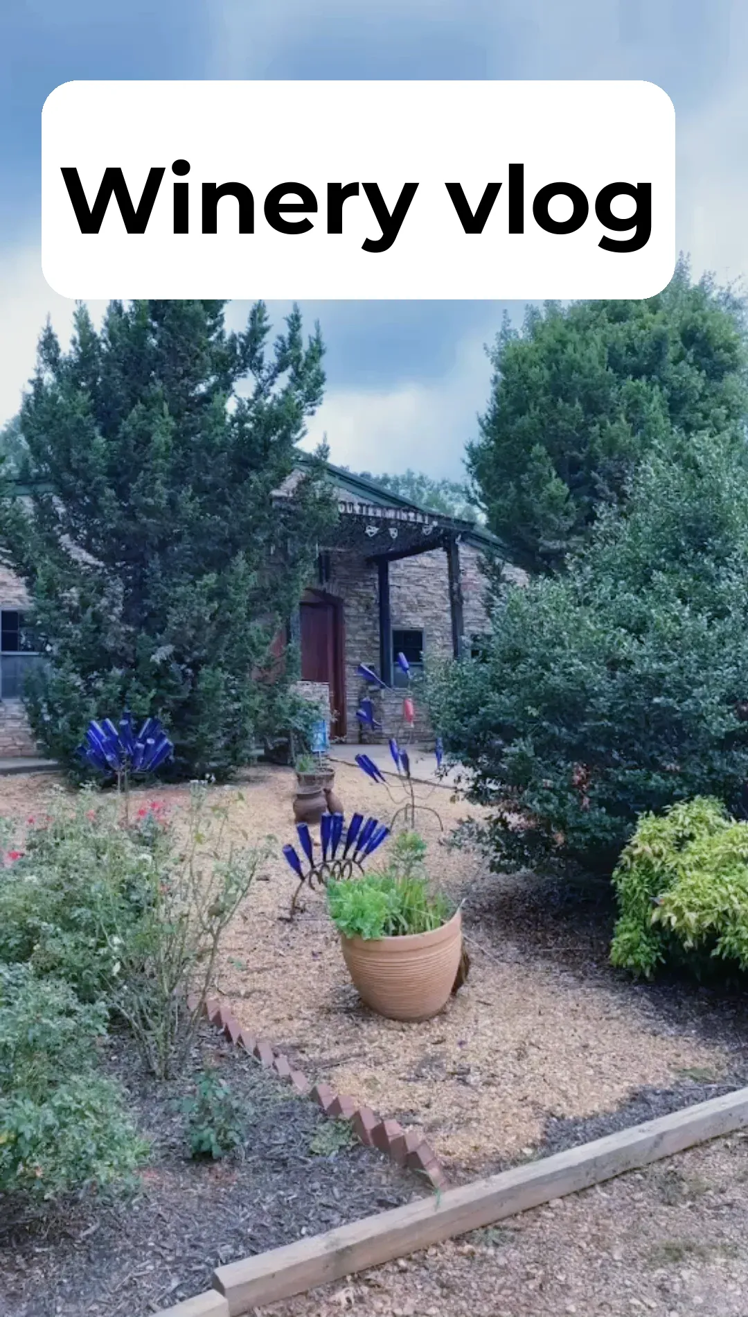 Winery Exploration Cheers 🍷