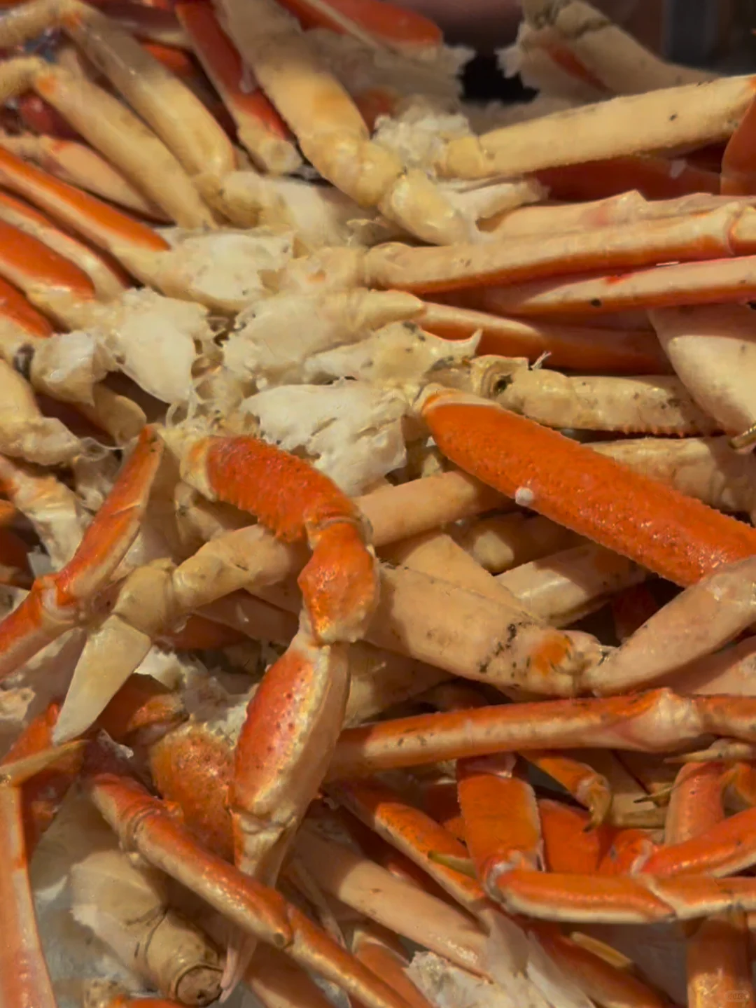 Miami | This American Fusion Restaurant’s All-You-Can-Eat Snow Crab Is Amazing 🦀
