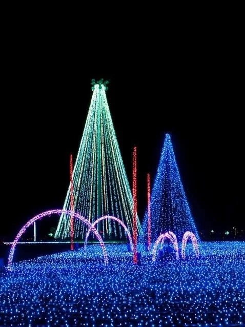 Great Smoky Mountains Winter Carnival