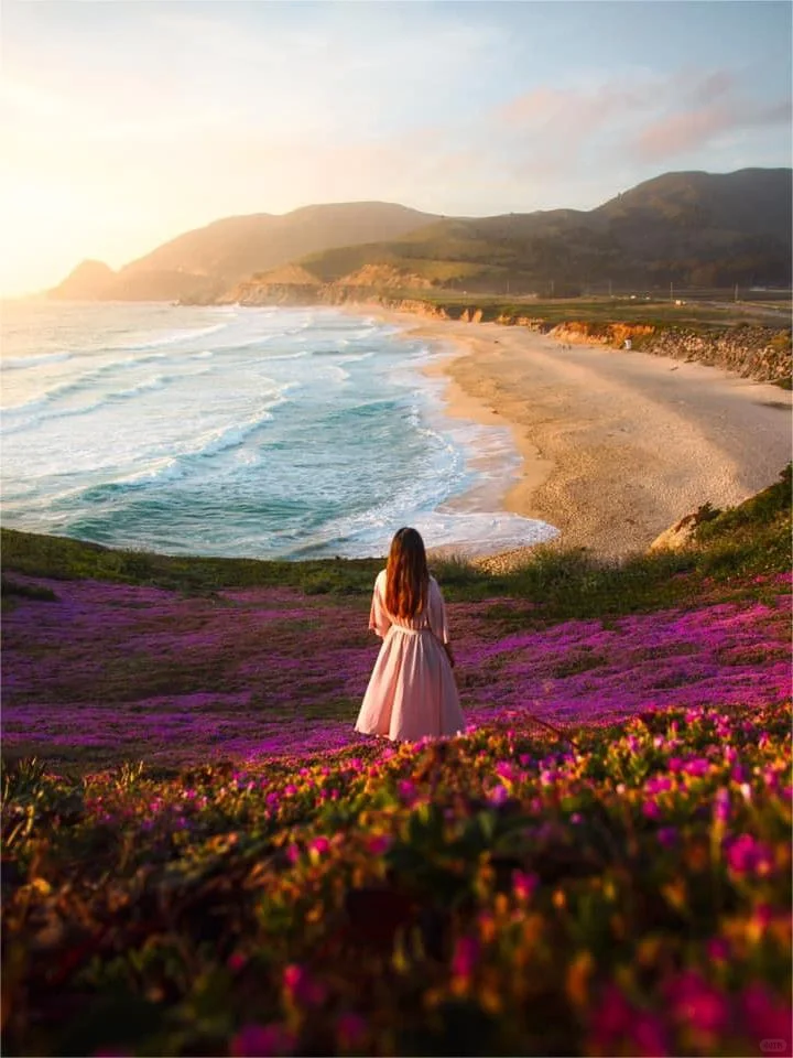 Life Hack: Must-Visit Weird World Before Leaving Cali