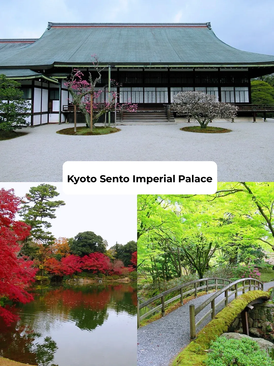 Kyoto Must-Visit Spots! ✨