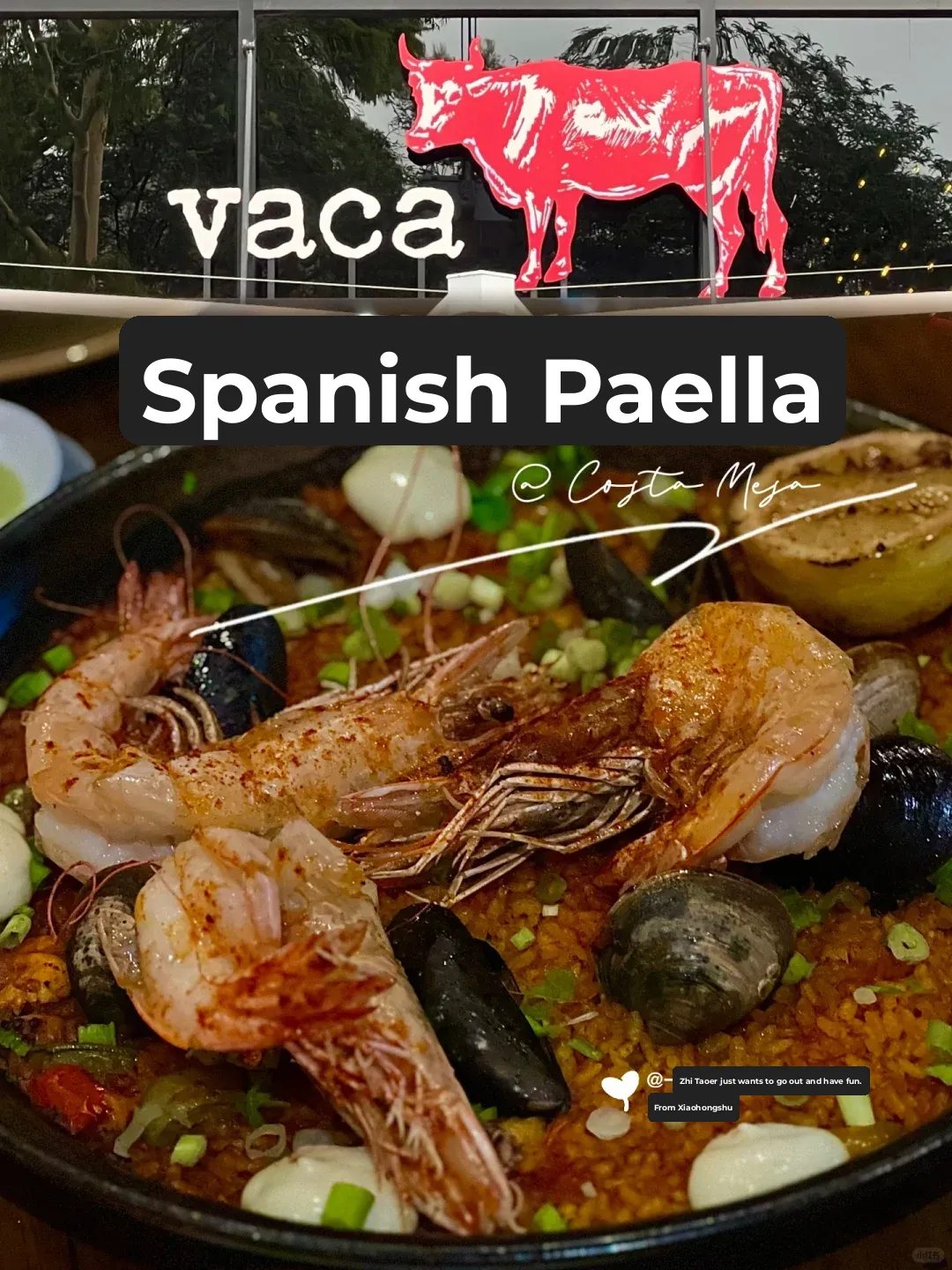 LA Foodie Adventure | This Paella Spot is Totally 🉑️