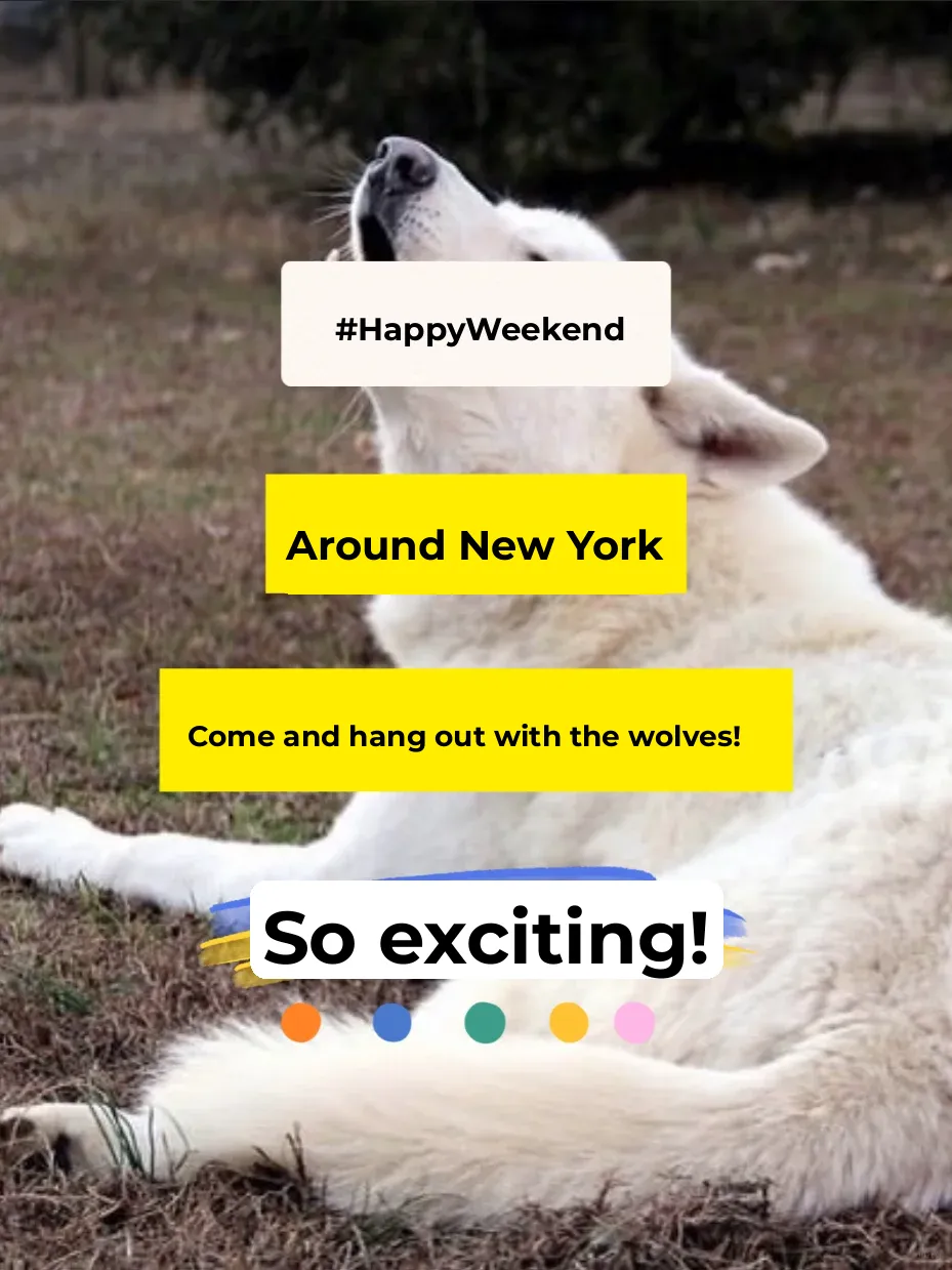 NYC Area | Time to Hang Out with Wolves This Weekend! 🤩