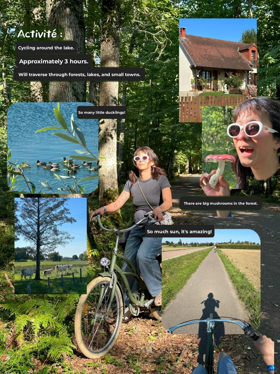 Off We Go! Top Lakeside Camping Spots Near Paris! 🌟🌟🌟